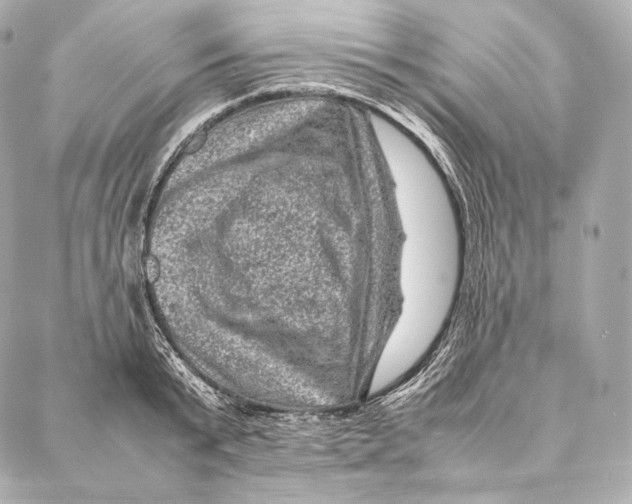 X0000086970799200705141649