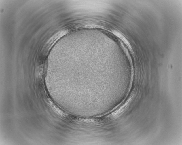 X0000086970801200705141649