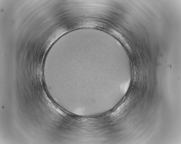 X0000086970802200705141649