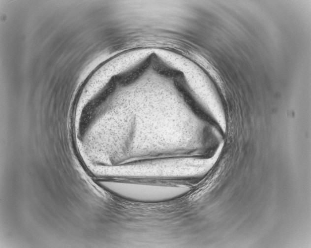 X0000086970803200705141649