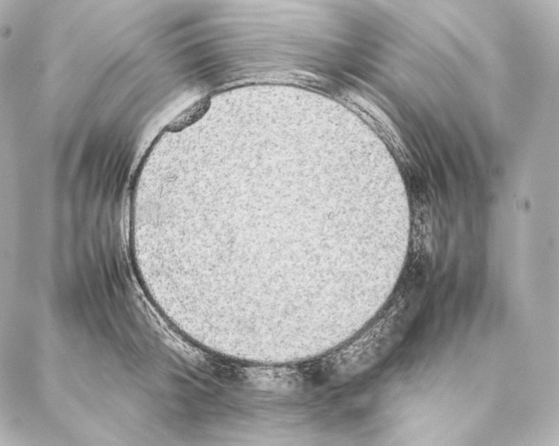 X0000086970804200705141649