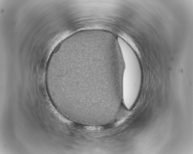 X0000086970805200705141649