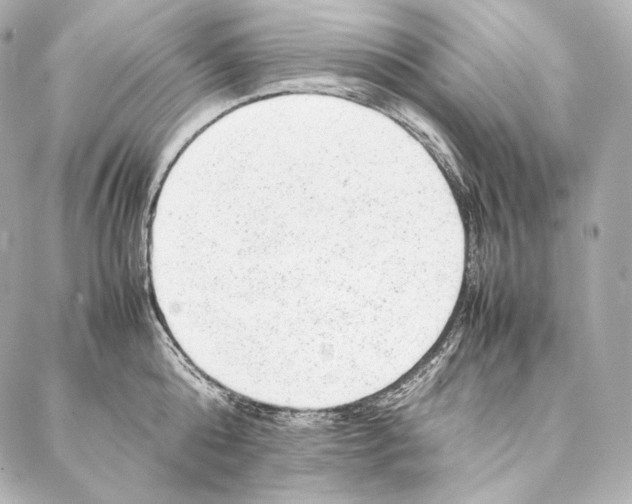 X0000086970808200705141649