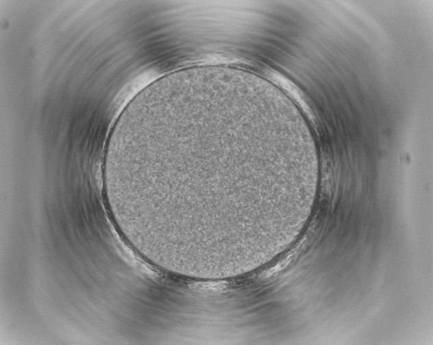 X0000086970810200705141649