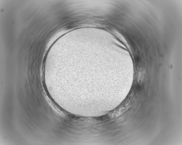 X0000086970811200705141649