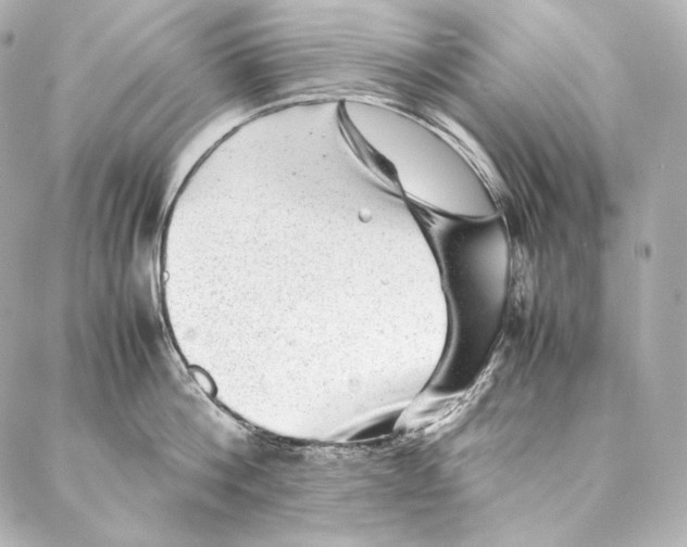 X0000086970812200705141649