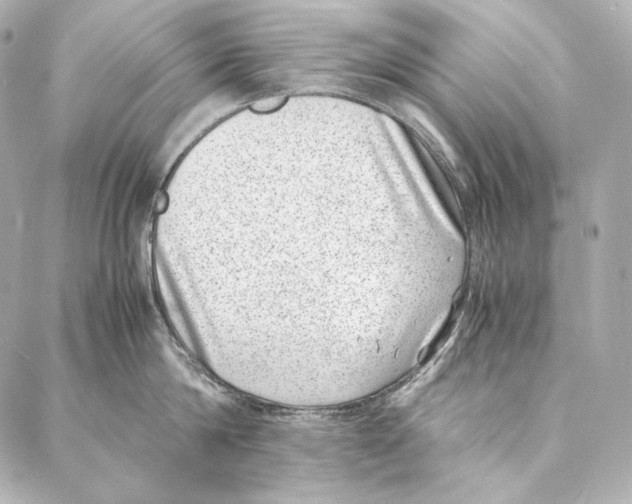 X0000086970814200705141649