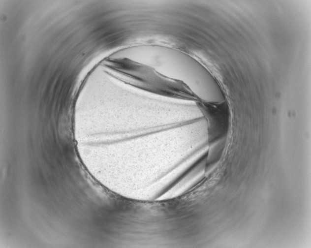 X0000086970816200705141649