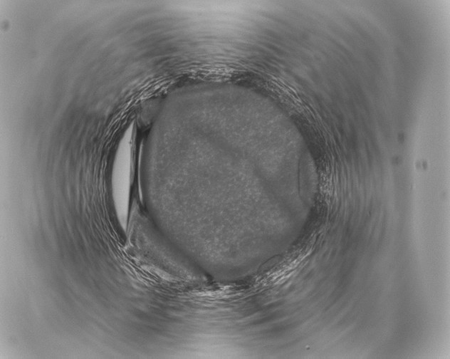 X0000086970818200705141648