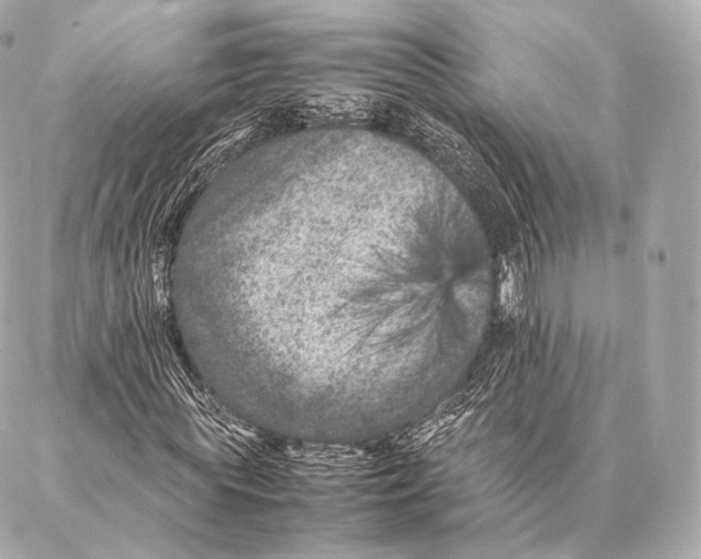 X0000086970819200705141648