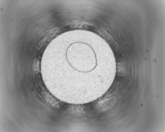 X0000086970820200705141648