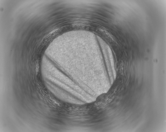 X0000086970821200705141648