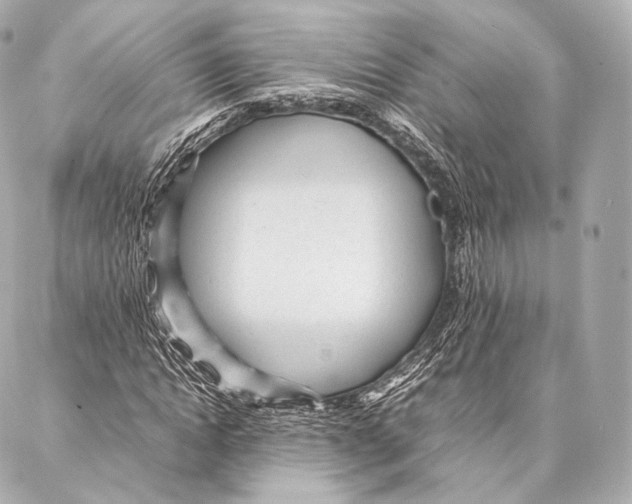 X0000086970822200705141648