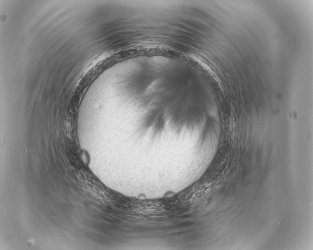 X0000086970823200705141648