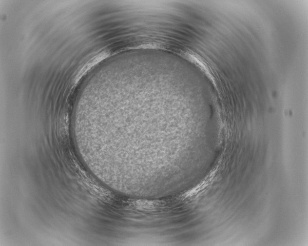 X0000086970827200705141648