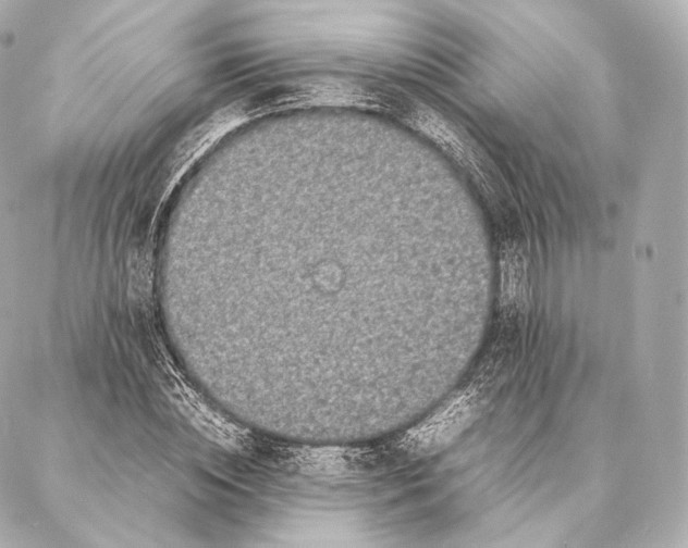 X0000086970828200705141648