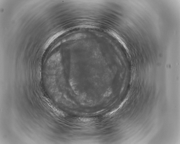 X0000086970829200705141648