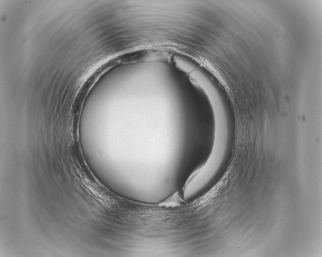 X0000086970830200705141649