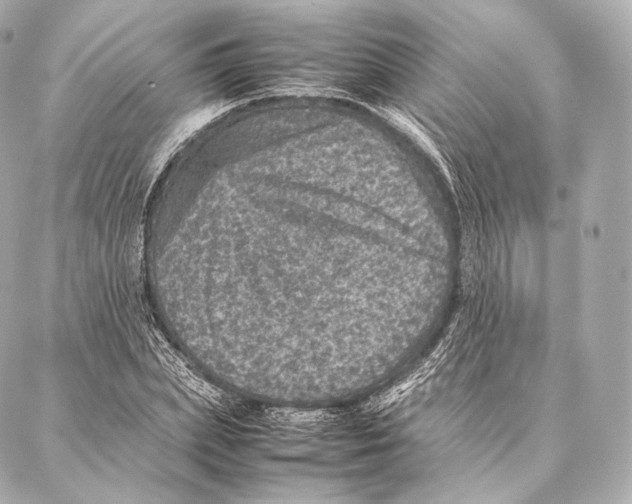 X0000086970831200705141649