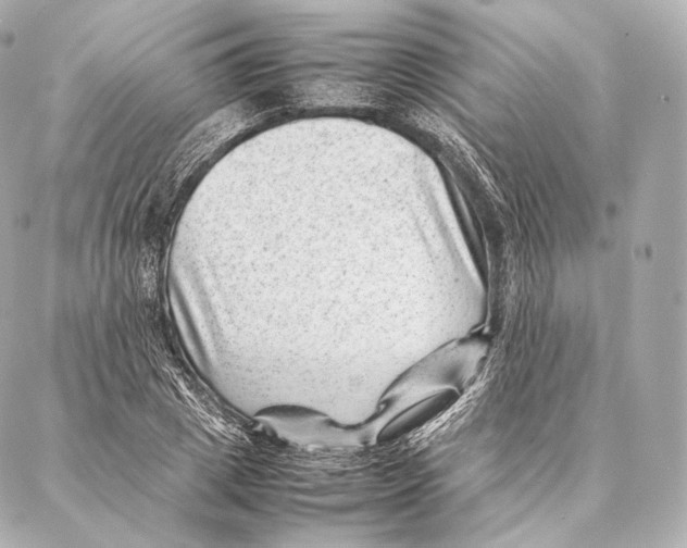 X0000086970833200705141649