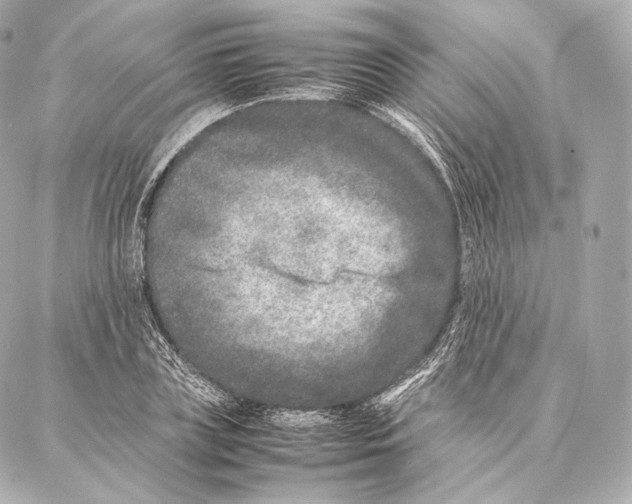 X0000086970835200705141649