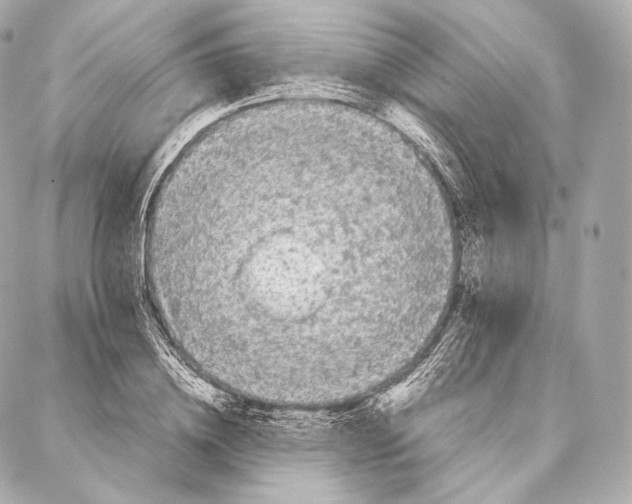 X0000086970836200705141649