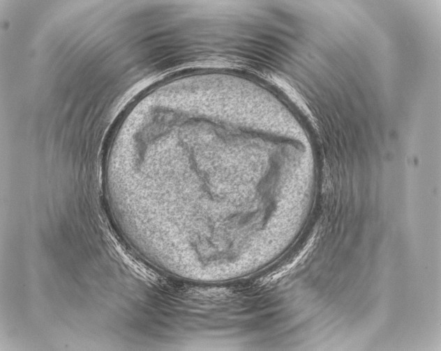 X0000086970837200705141649