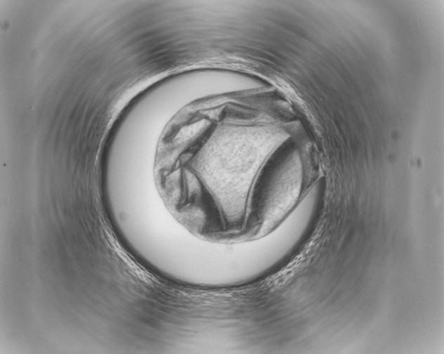 X0000086970838200705141649