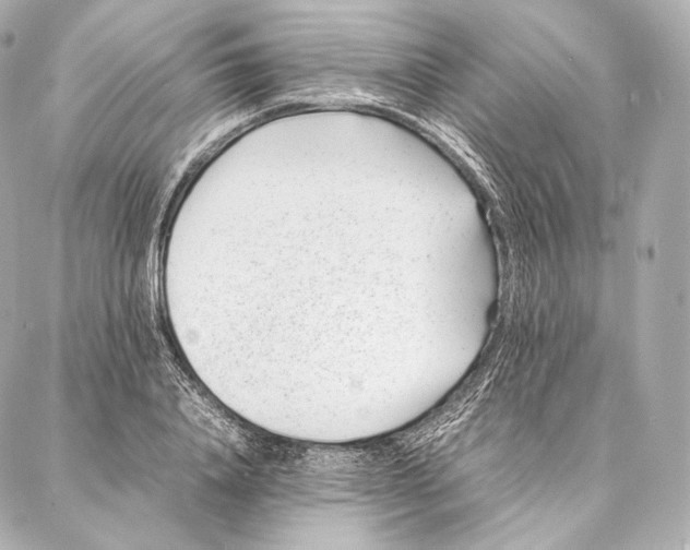 X0000086970840200705141649