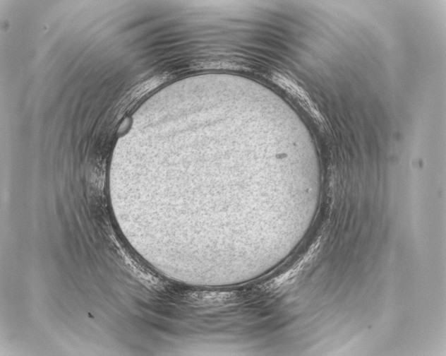 X0000086970841200705141649