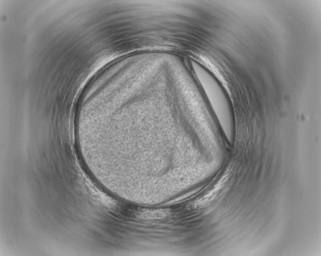 X0000086970843200705141649