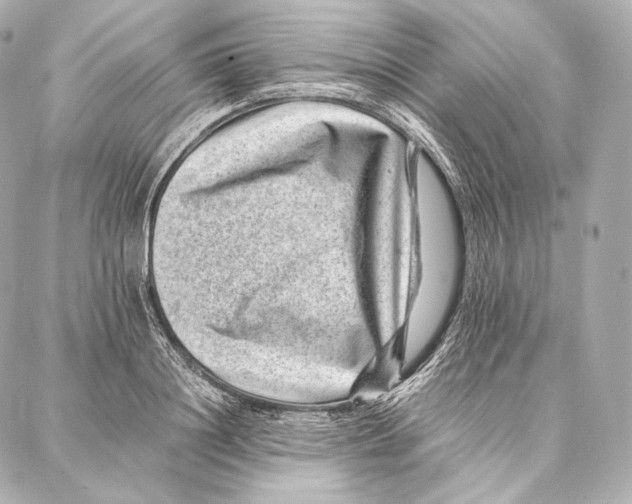 X0000086970844200705141649