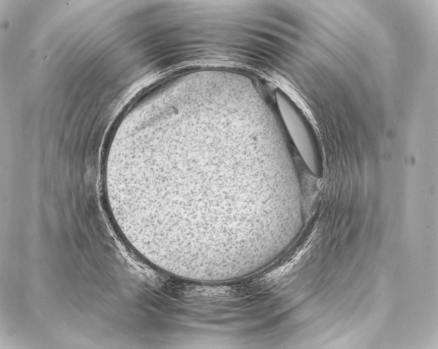 X0000086970845200705141649