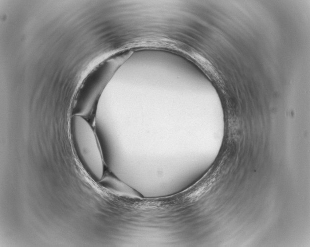 X0000086970846200705141649