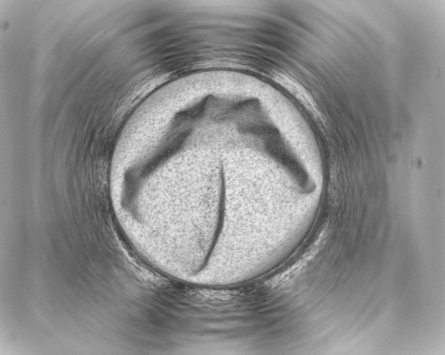 X0000086970849200705141649