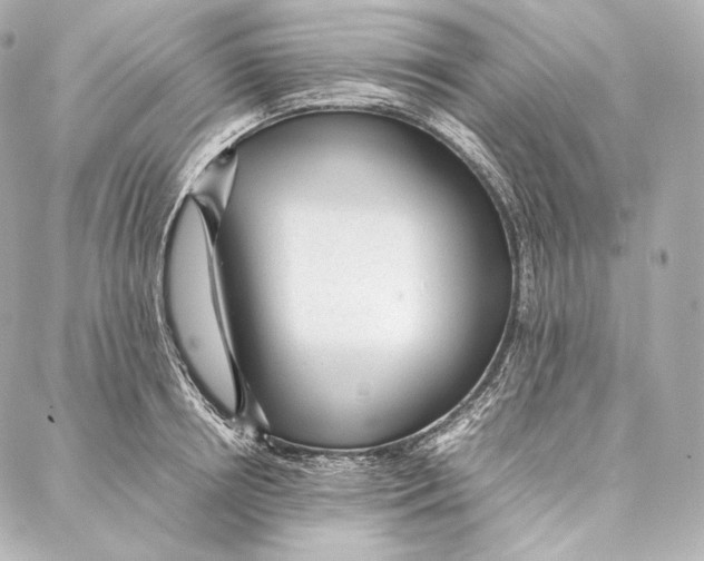 X0000086970850200705141649