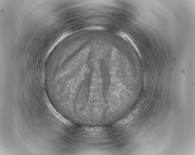 X0000086970851200705141649