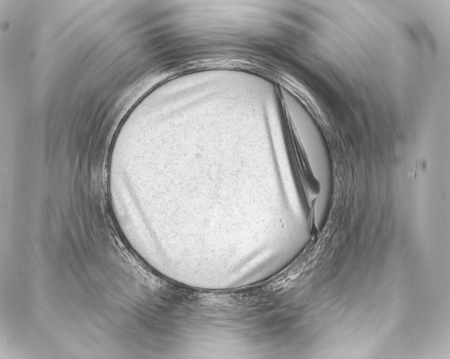 X0000086970852200705141649