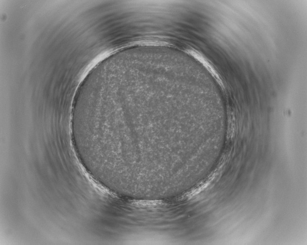 X0000086970853200705141649