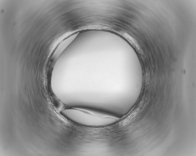 X0000086970854200705141649