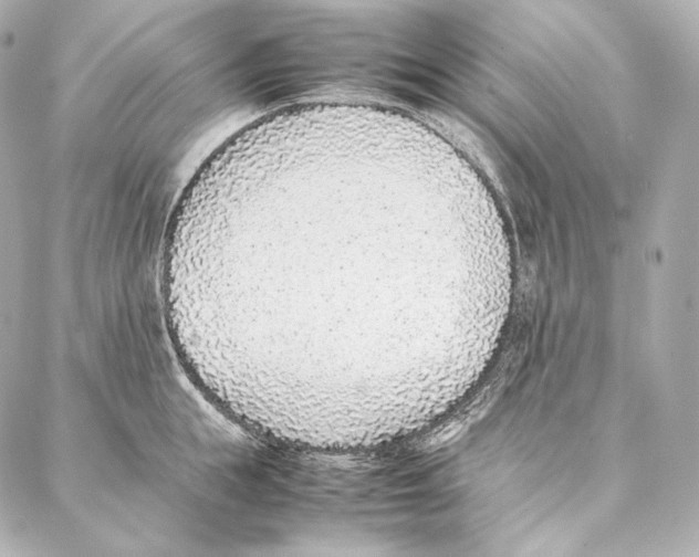 X0000086970855200705141649