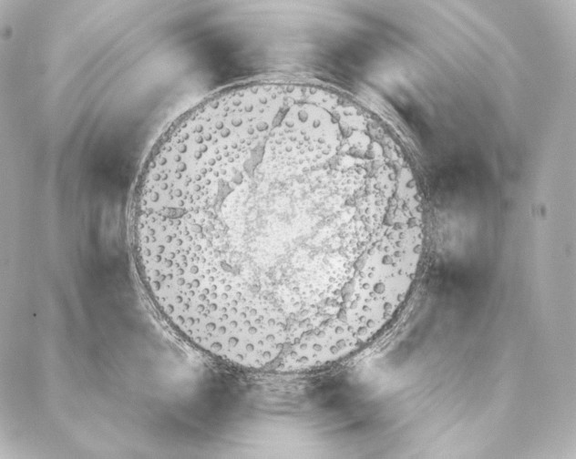 X0000086970856200705141649