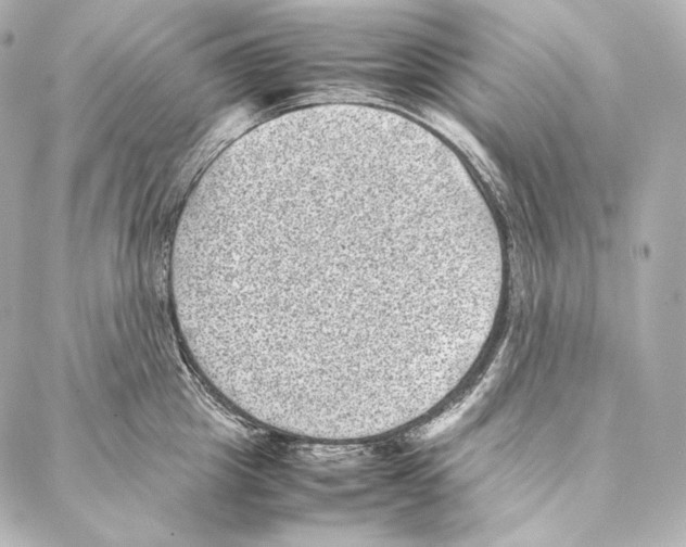 X0000086970857200705141649