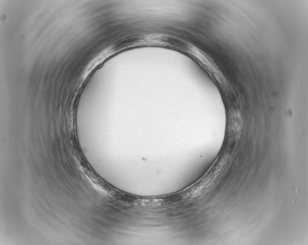 X0000086970858200705141649