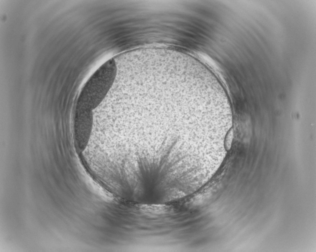 X0000086970859200705141649