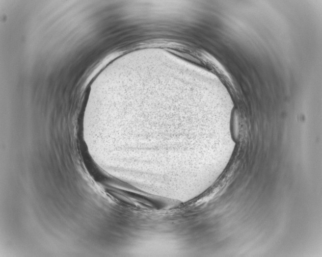 X0000086970860200705141649