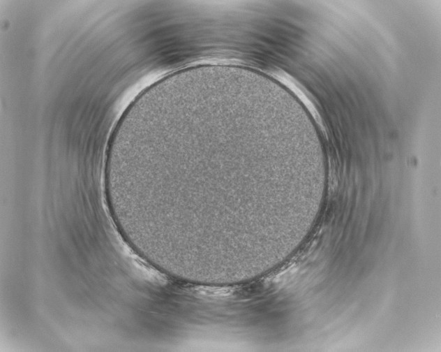 X0000086970861200705141649