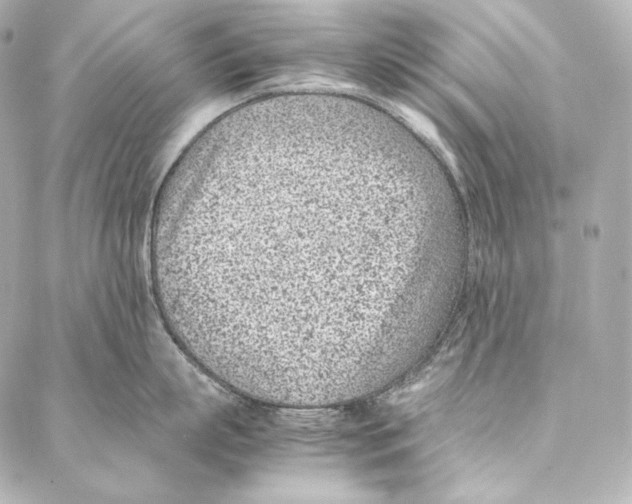 X0000086970863200705141649