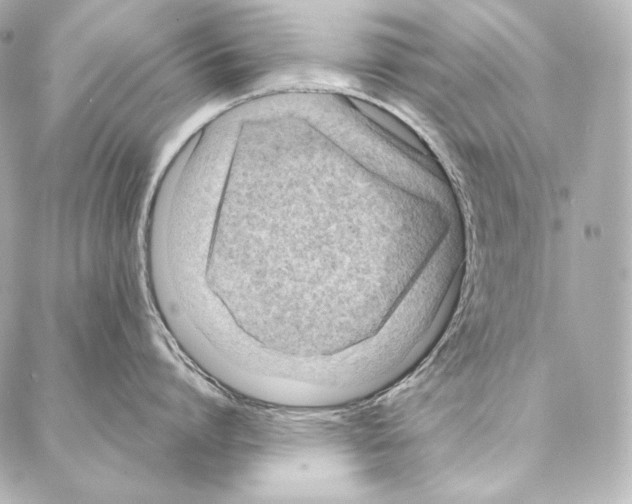 X0000086970864200705141649