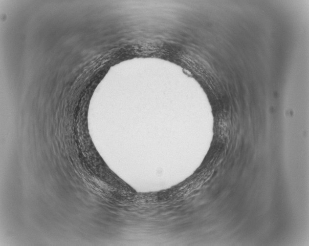 X0000086970865200705141648